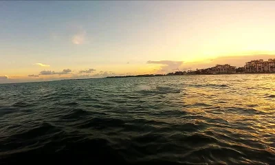 Miami Report Video 0