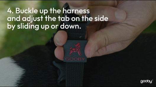 Gooby Escape Free Easy Fit Dog Harness