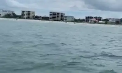Clearwater Report Video 0