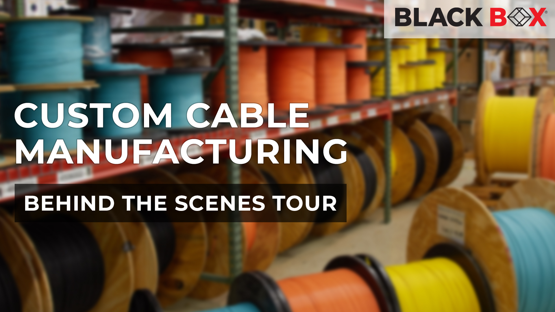 Video Preview - Behind the Scenes at Black Box: Custom Cable Manufacturing