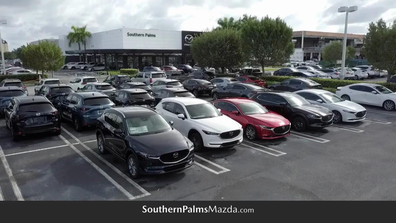 Car Dealership South Florida, Palm Beach County