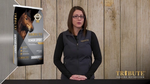 Play Video: Learn More About Tribute Equine Nutrition From Our Team of Experts