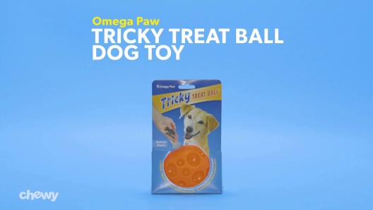 Play Video: Learn More About Omega Paw From Our Team of Experts