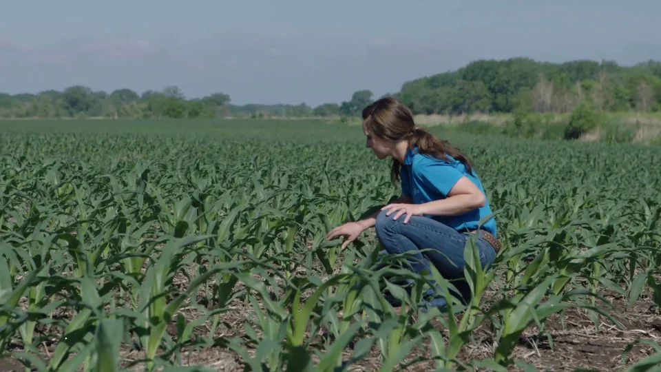 agriculture food and natural resources