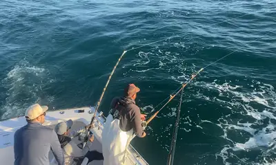 Nags Head Report Video 1