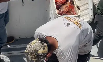 Ensenada Report Video 0