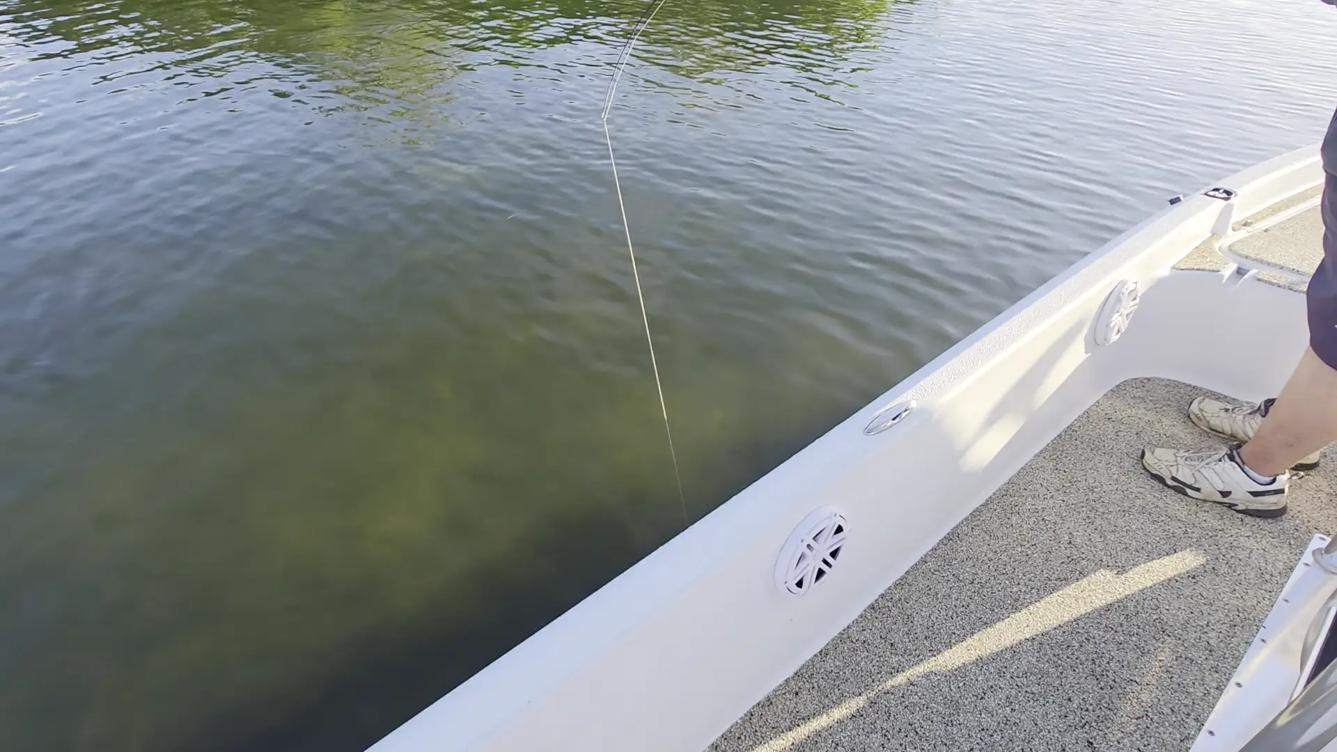 Business Card: Sassa Fishing Company – Tampa Bay