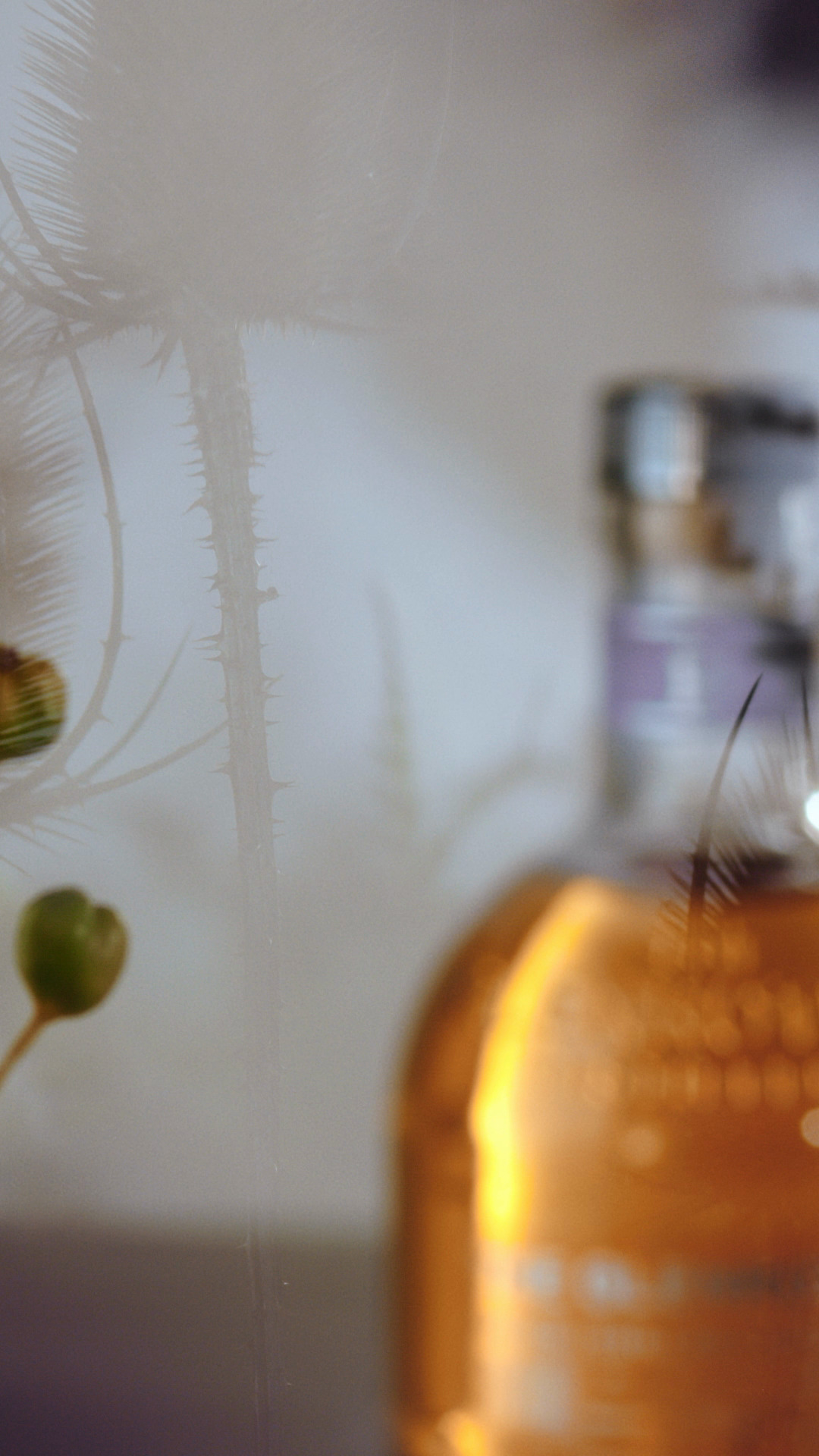 The Glenrothes 18 The Glenrothes 18