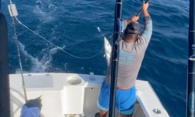 Cabo San Lucas Report Video 0