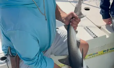 I asked and received 