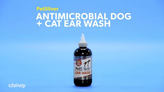 Play Video: Learn More About PetSilver From Our Team of Experts