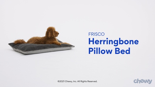 Play Video: Learn More About Frisco From Our Team of Experts