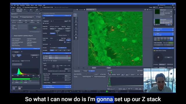 Tutorial: Airyscan Imaging