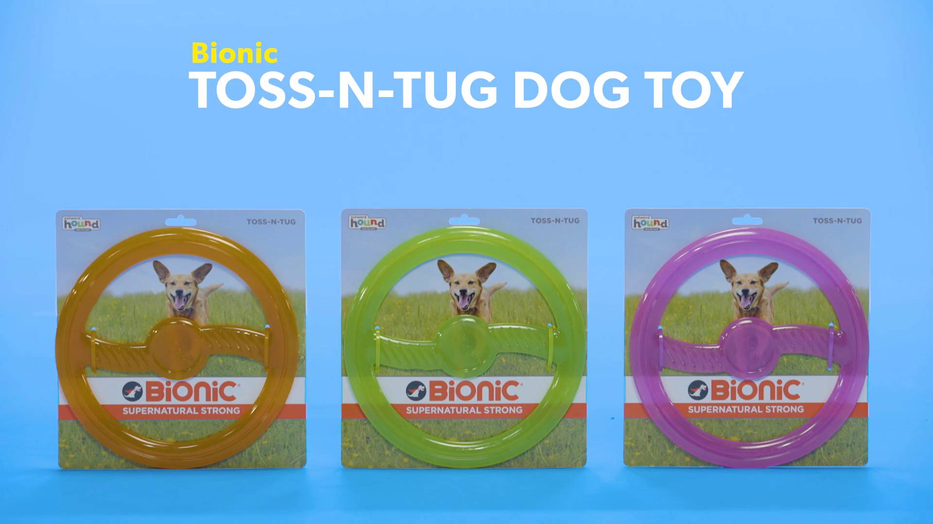 Bionic dog outlet frisbee