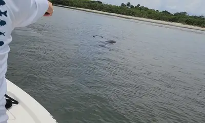 Port Orange Report Video 0