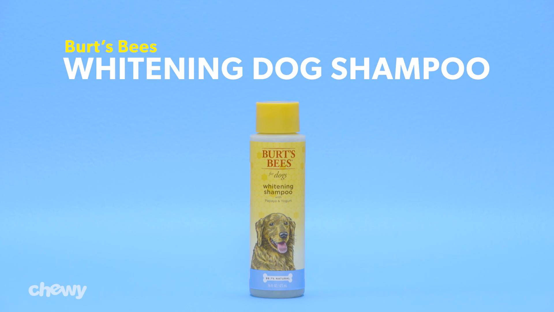 Discontinued BURT S BEES Whitening Dog Shampoo 16 oz bottle Chewy