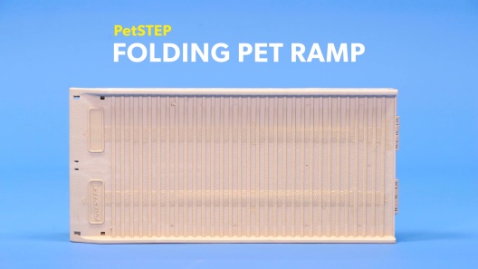 Play Video: Learn More About PetSTEP From Our Team of Experts