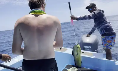Tuna-Mahi, exactly what we asked