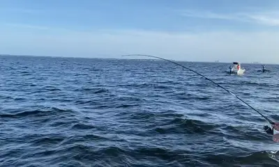 Santa Rosa Beach Report Video 0