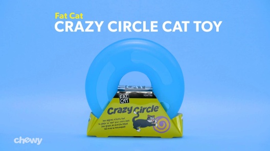 FAT CAT Crazy Circle Cat Toy, Small - Chewy.com