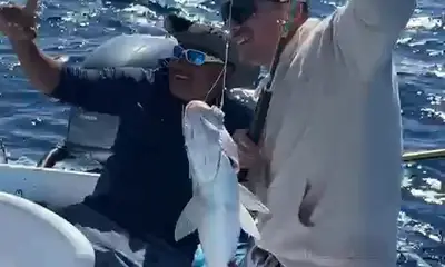 Playa Del Carmen Report Video 0