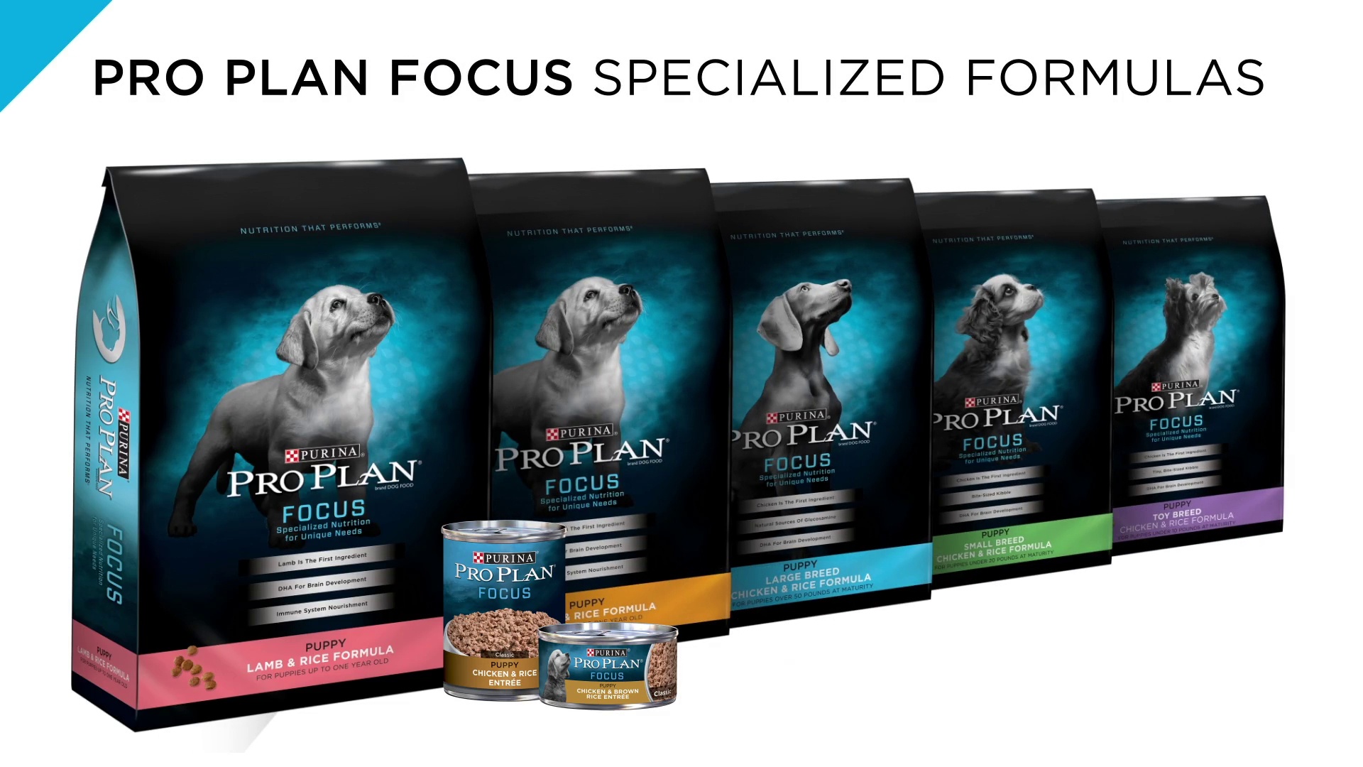 Purina pro best sale plan puppy formula