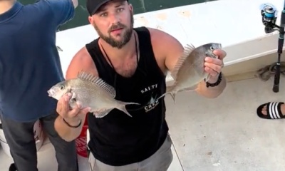 Stamford Report Video 0