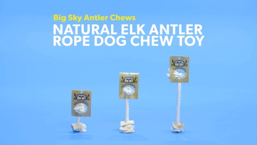 Play Video: Learn More About Big Sky Antler Chews From Our Team of Experts