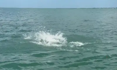 Amazing Adventure 