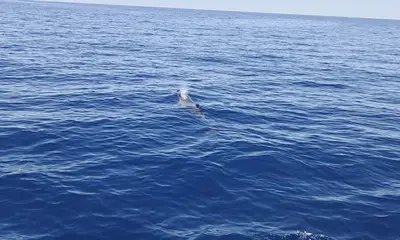 slow fishing but great day