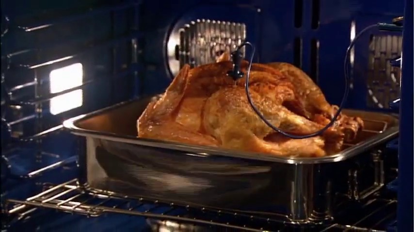 wolf oven probe turkey - Google Search