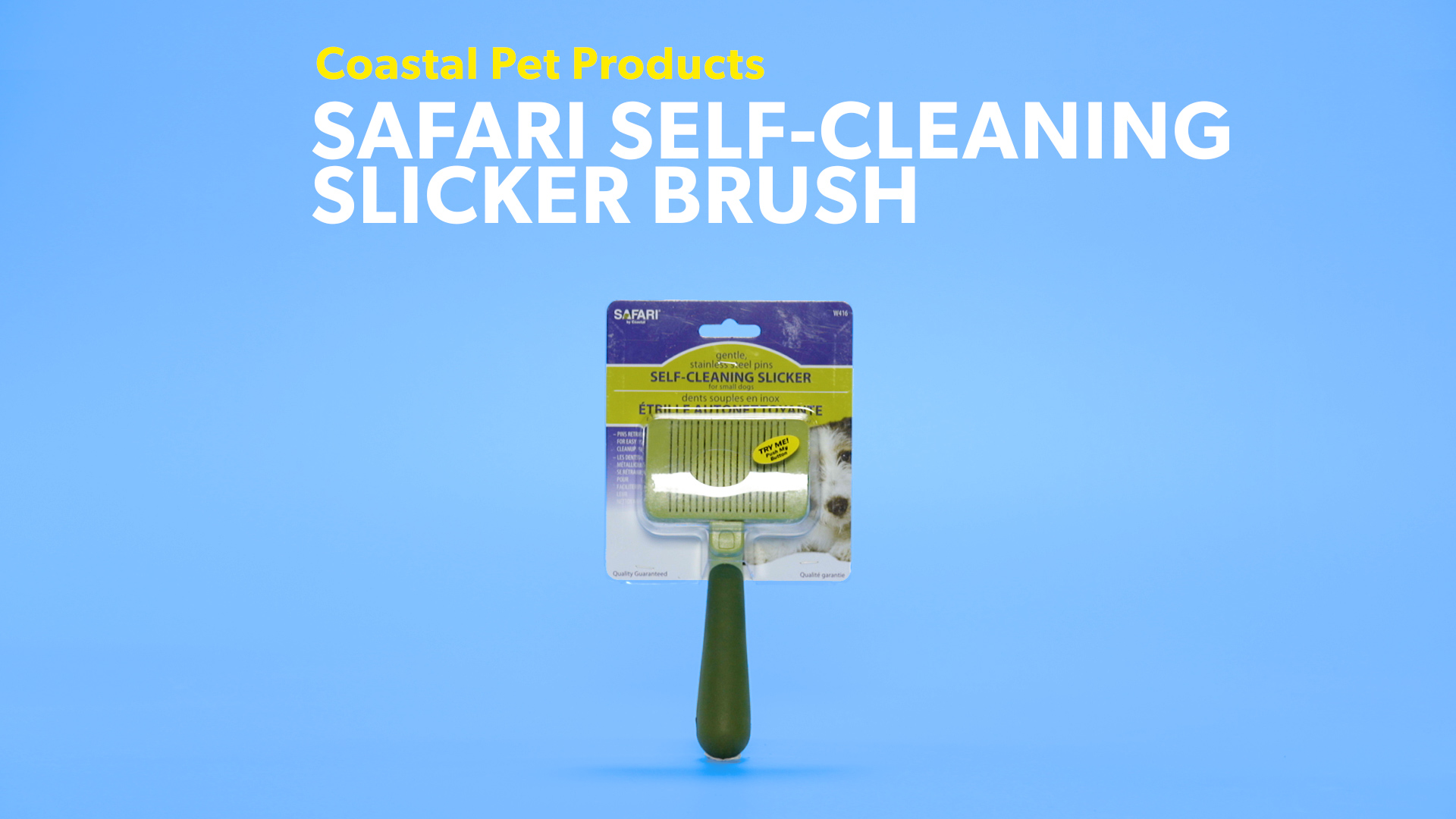 Safari Self Cleaning Slicker Brush for CatsStainless Steel Grooming Tool 
