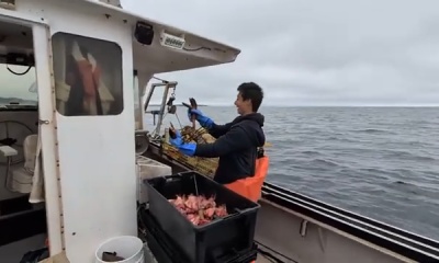 Best trip yet - The lobsters didn't stand a chance.
