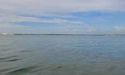Huge Snapper and More!