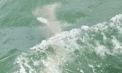 Tampa Report Video 1