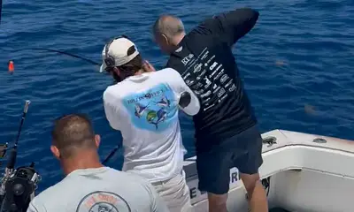 Miami Report Video 0