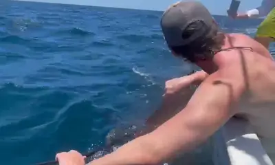 Playa Hermosa Report Video 0
