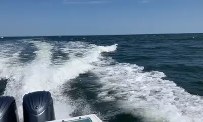 Great Experience 