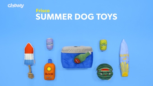 Frisco Summer Fun Plush & Rope Popsicle Dog Toy