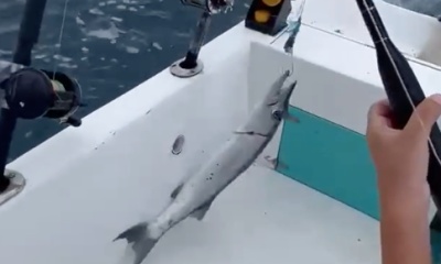 Playa Del Carmen Report Video 0