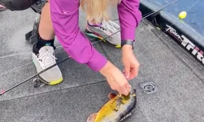 Lake Worth Report Video 0