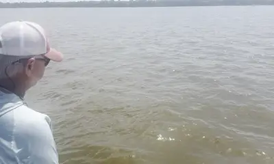 Hackberry Report Video 2
