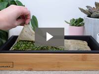 Video for Home Microgreens Growing Kit