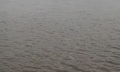 Jefferson Parish Report Video 1