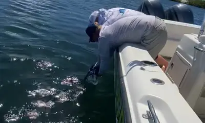 tarpon fishing