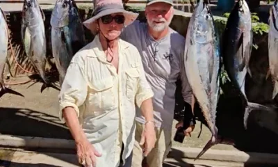 San Jose del Cabo Report Video 0