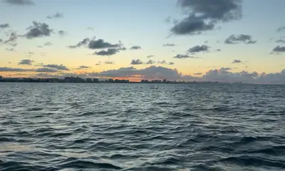 Captain Manny is the man!