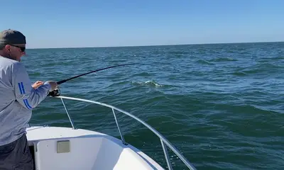 Atlantic City Report Video 2