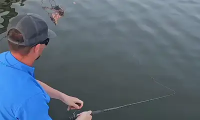 San Juan Report Video 0