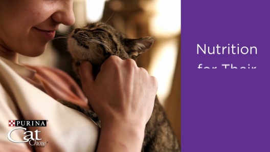 Cat Chow Indoor Hairball & Healthy Weight Dry Cat Food
